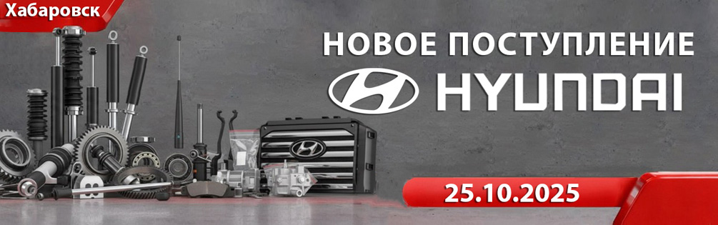 Новое поступление от 25.10.02025